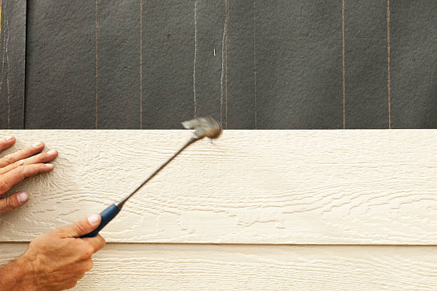 Best Engineered Wood Siding  in Pahrump, NV